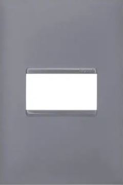 PIAL PLUS+ PLACA 4X2 1 POSTO CZ.618501CZ