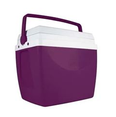 CAIXA TERMICA 34L AÇAI MOR