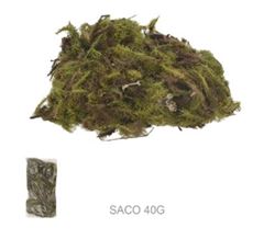 PLANTA MUSGO NATURAL VERDE 40G FLORARTE
