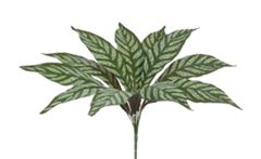 PLANTA ARTIFICIAL DRACENA FRAGRANS FORRACAO VERDE CREME 50CM FLORARTE