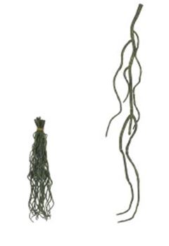 PLANTA ARTIFICIAL RAIZ COM PRINT VERDE 28CM FLORARTE