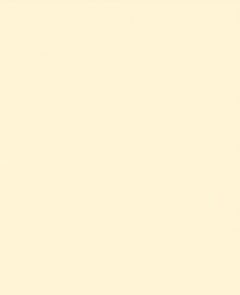 REVESTIMENTO 37X59A NATURALLE BEIGE PLUS RAVELLO C/2,40M²